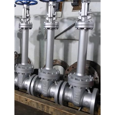 WZ41H不锈钢波纹管闸阀